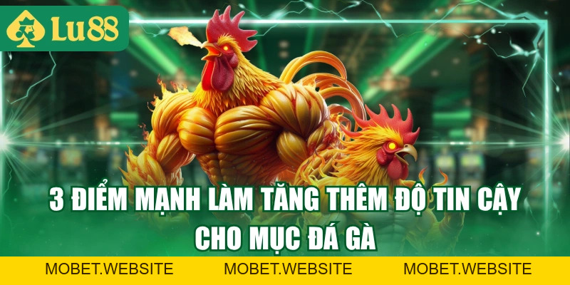 Theo Dõi Đá Gà LU88 Với Chất Lượng Phát Sóng 4K Sắc Nét