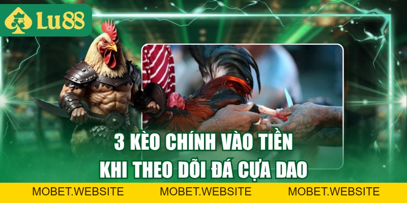 Luật Đá Gà Cựa Dao Chuẩn Nhất Và Cách Tính Thắng Thua