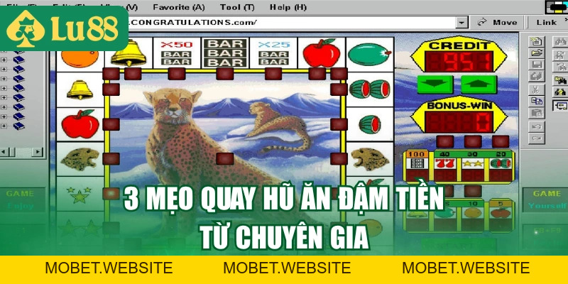 Xèng Hoa Quả Là Gì? Top 3 Mẹo Quay Xèng Ăn Tiền Cực Dễ