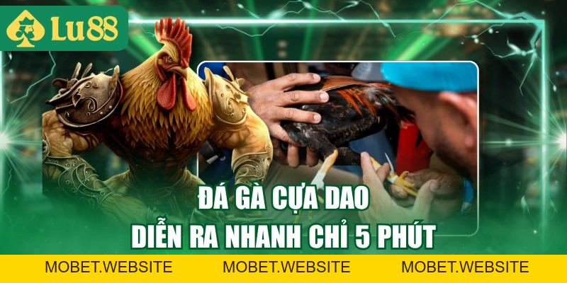 Luật Đá Gà Cựa Dao Chuẩn Nhất Và Cách Tính Thắng Thua