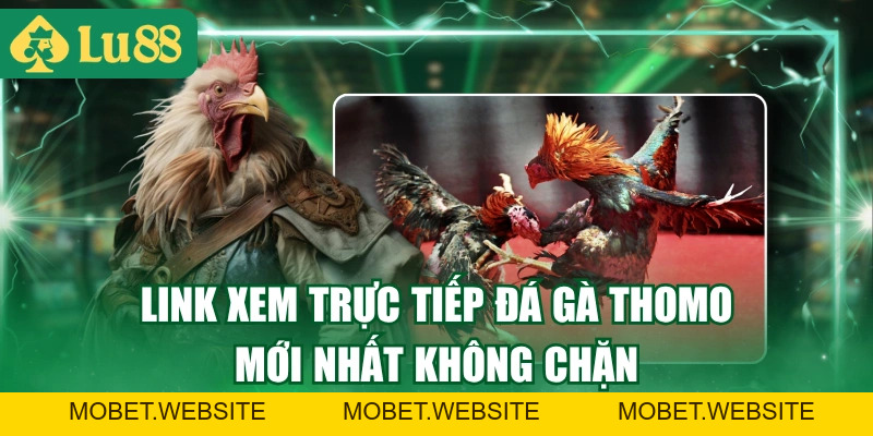 Trực Tiếp Đá Gà Thomo - Link Xem Nhanh, Full HD 2026
