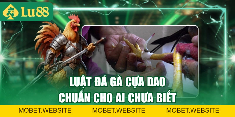 Luật Đá Gà Cựa Dao Chuẩn Nhất Và Cách Tính Thắng Thua