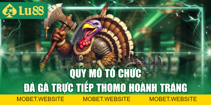 Trực Tiếp Đá Gà Thomo - Link Xem Nhanh, Full HD 2026