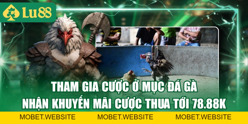 Theo Dõi Đá Gà LU88 Với Chất Lượng Phát Sóng 4K Sắc Nét