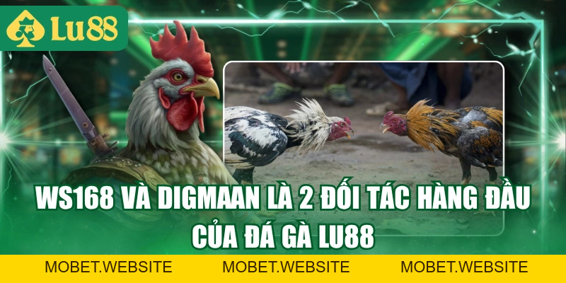 Theo Dõi Đá Gà LU88 Với Chất Lượng Phát Sóng 4K Sắc Nét